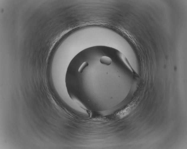 X0000079280540200612081755