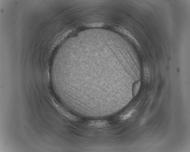 X0000079280541200612081755