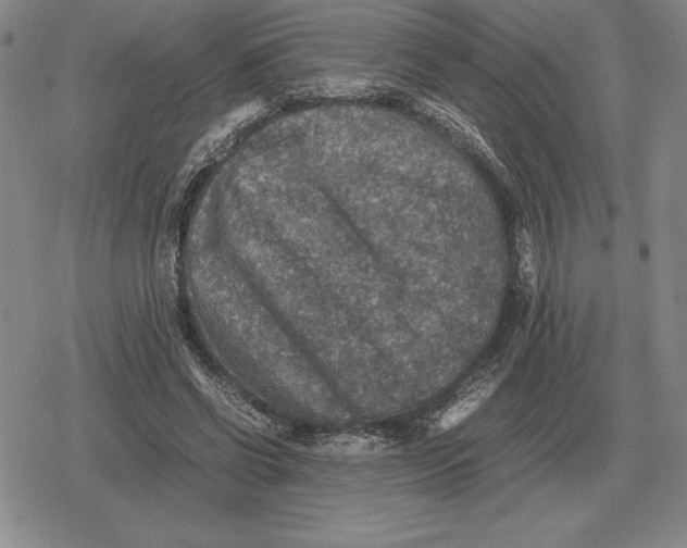 X0000079280542200612081755