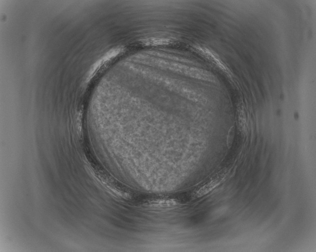 X0000079280543200612081756