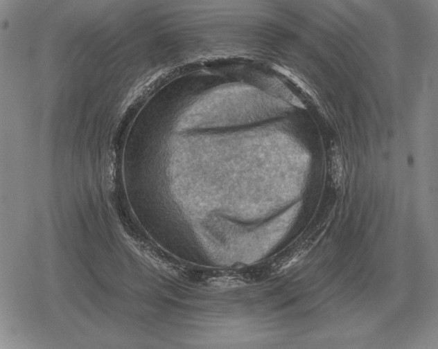 X0000079280544200612081756