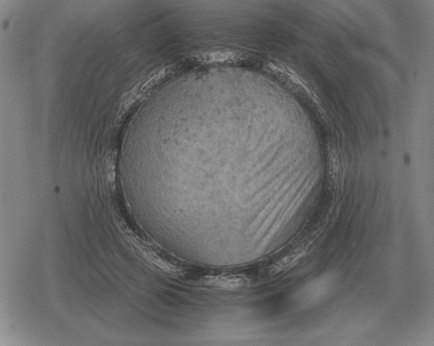 X0000079280545200612081756