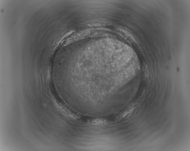 X0000079280546200612081756