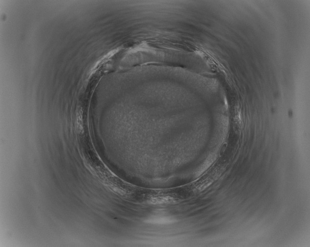 X0000079280547200612081756