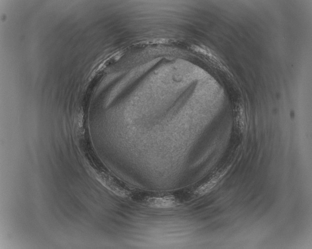 X0000079280548200612081756