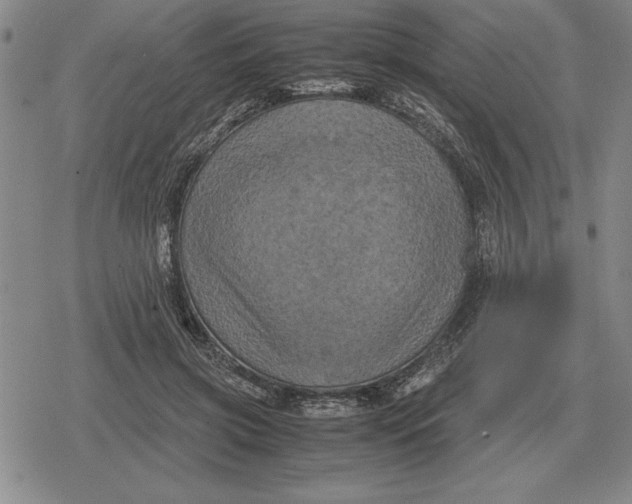 X0000079280549200612081756