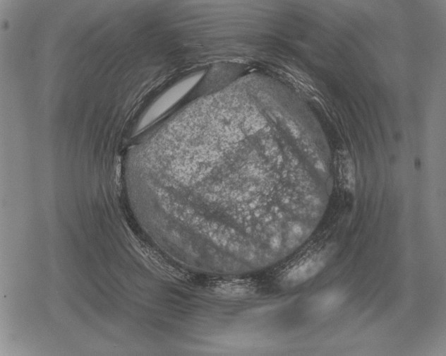 X0000079280550200612081756