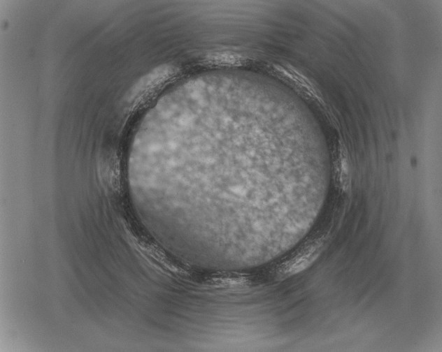 X0000079280552200612081756