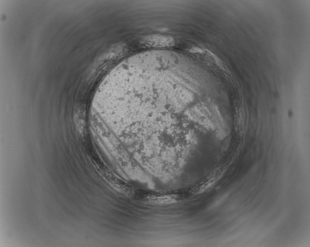 X0000079280553200612081756