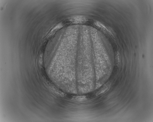 X0000079280554200612081756