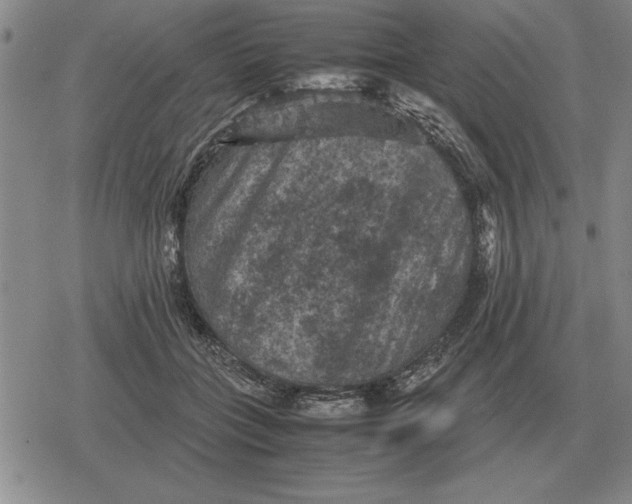 X0000079280555200612081756