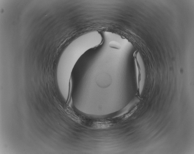 X0000079280556200612081756