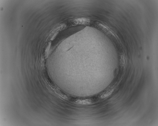 X0000079280557200612081756