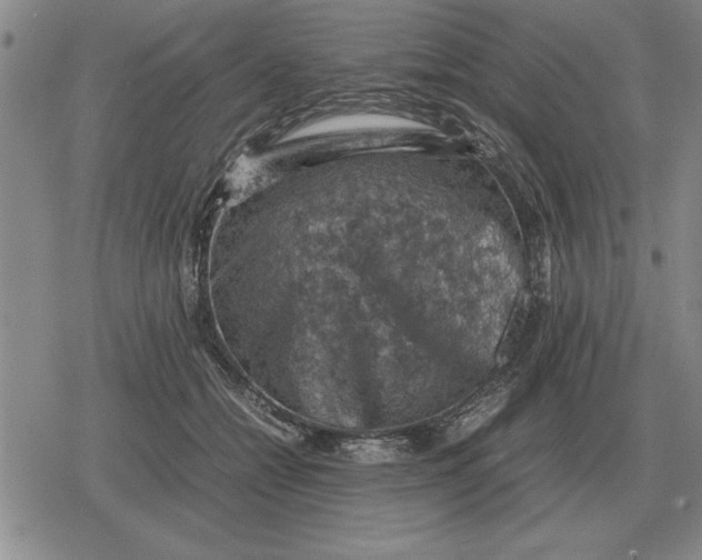 X0000079280558200612081756