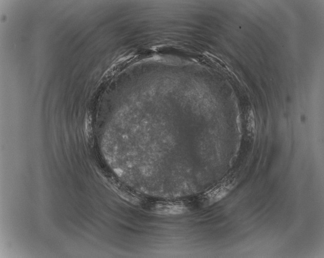 X0000079280559200612081756