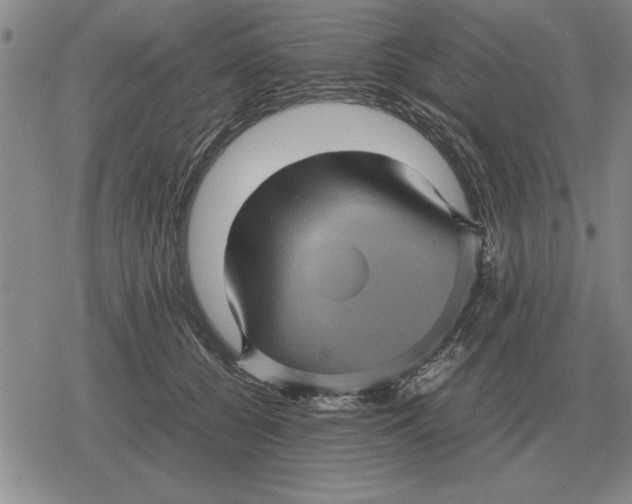 X0000079280560200612081756