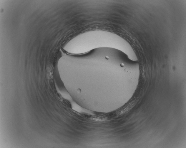 X0000079280561200612081756