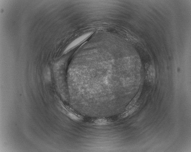 X0000079280562200612081756