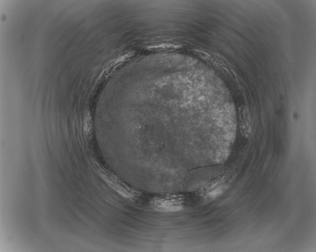 X0000079280563200612081756