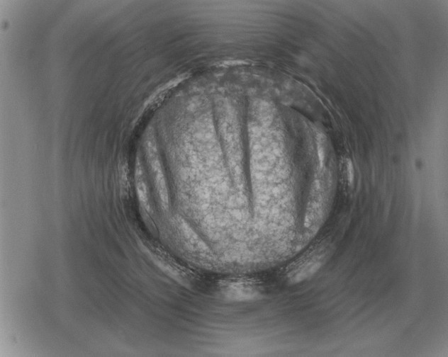 X0000079280564200612081756