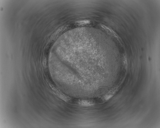 X0000079280565200612081756