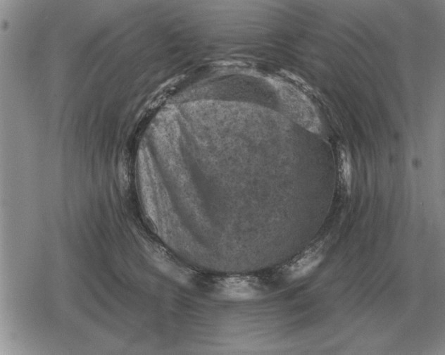 X0000079280566200612081756