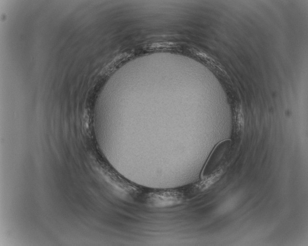 X0000079280567200612081756