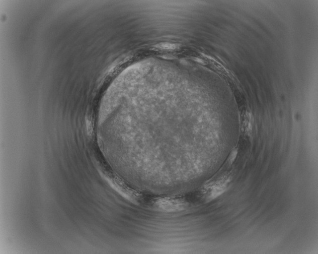 X0000079280568200612081756