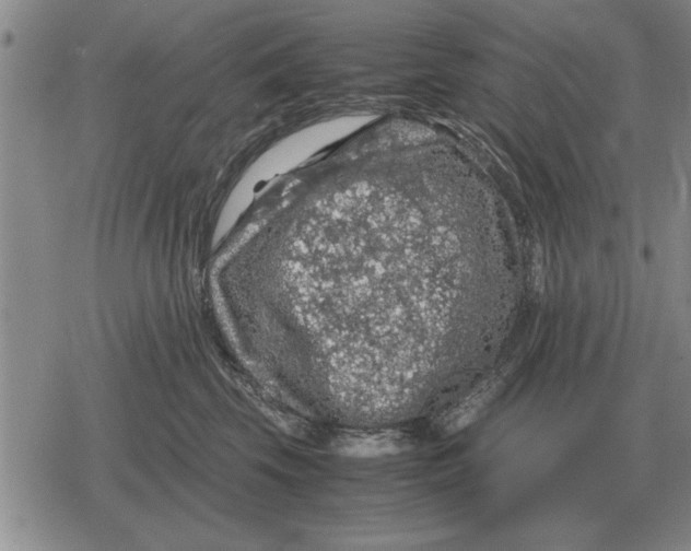 X0000079280569200612081756