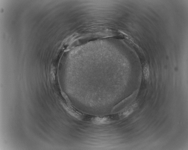 X0000079280570200612081756