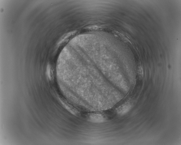 X0000079280572200612081756