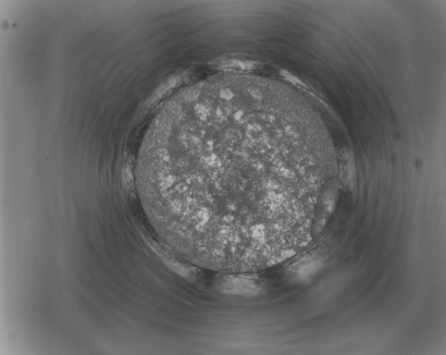 X0000079280573200612081756