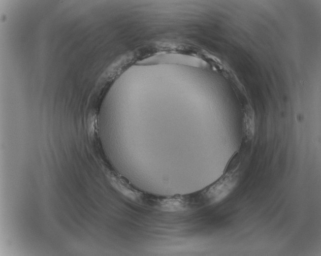 X0000079280574200612081756