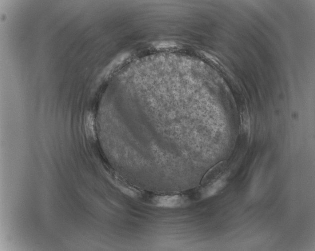 X0000079280575200612081756