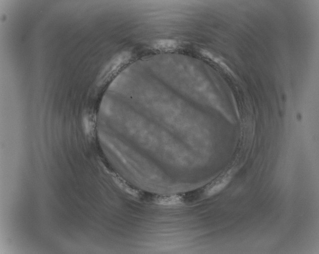 X0000079280576200612081756