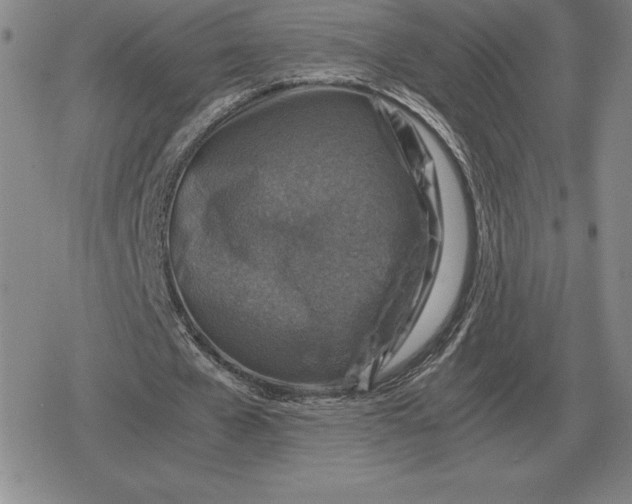 X0000079280577200612081755