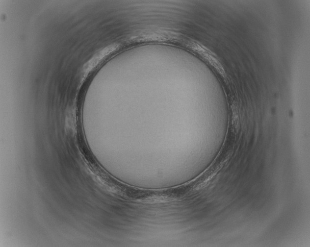 X0000079280578200612081755