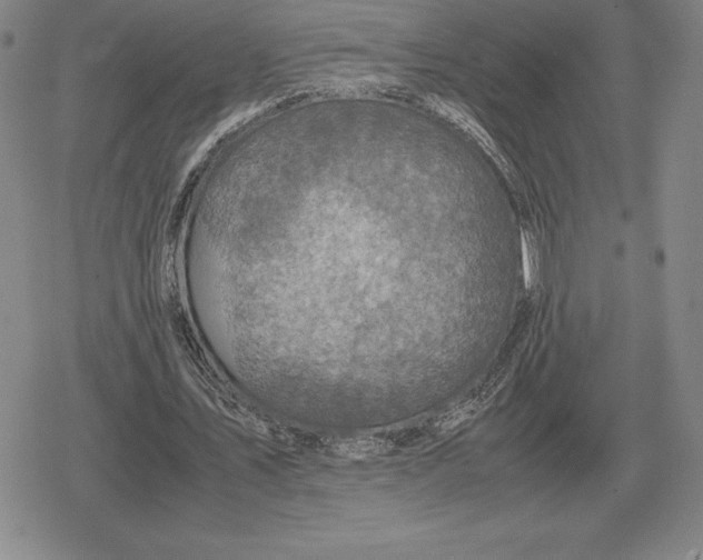 X0000079280579200612081755