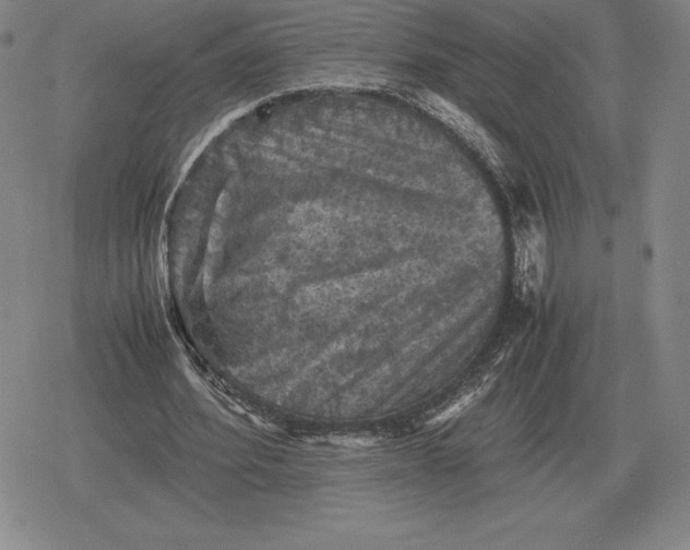 X0000079280580200612081755