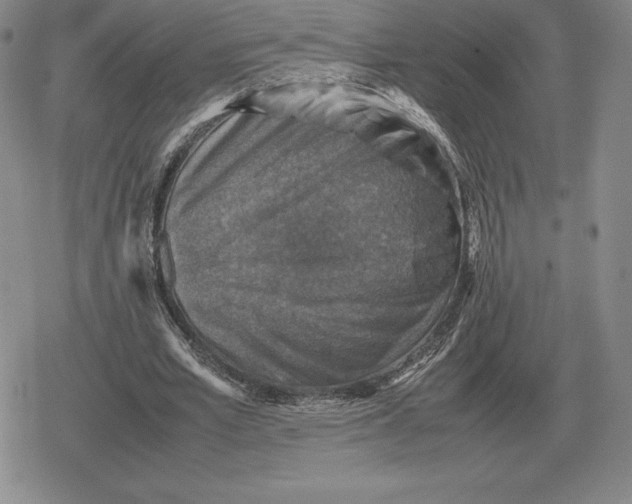 X0000079280581200612081755