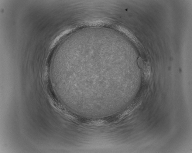 X0000079280583200612081755