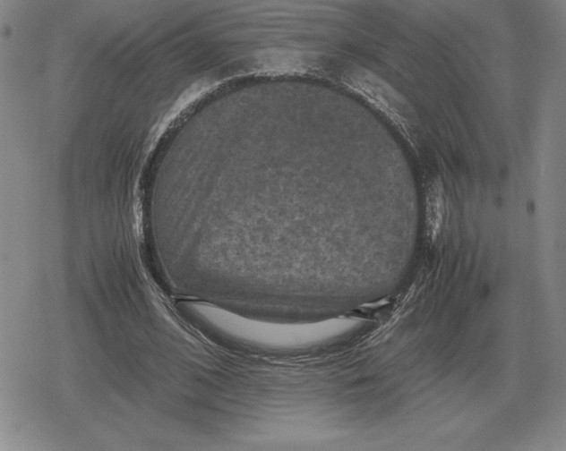 X0000079280584200612081755