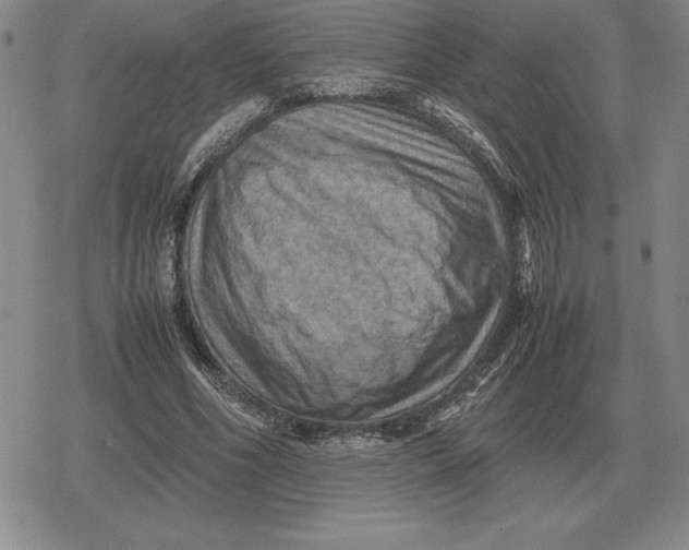 X0000079280586200612081755