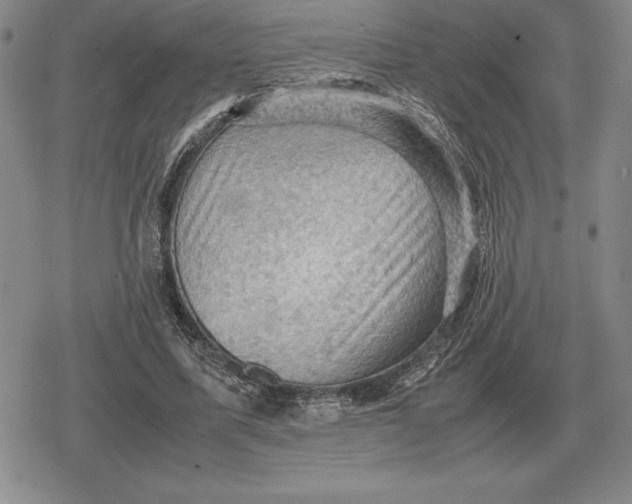 X0000079280587200612081755