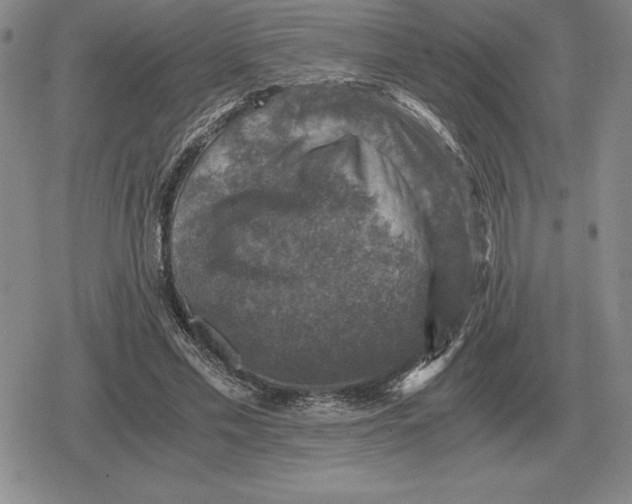 X0000079280589200612081755