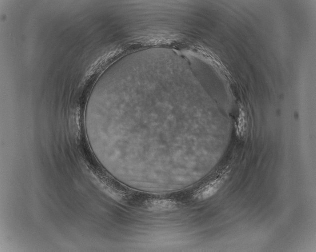 X0000079280590200612081755