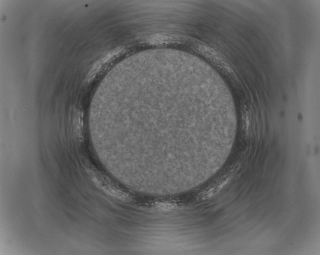 X0000079280592200612081755