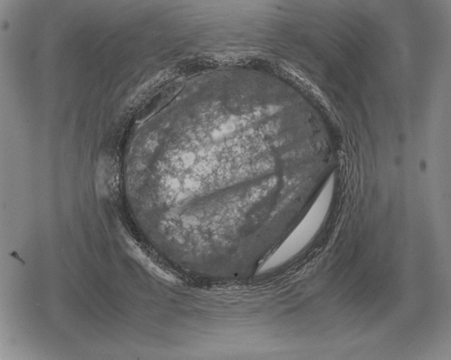 X0000079280593200612081755