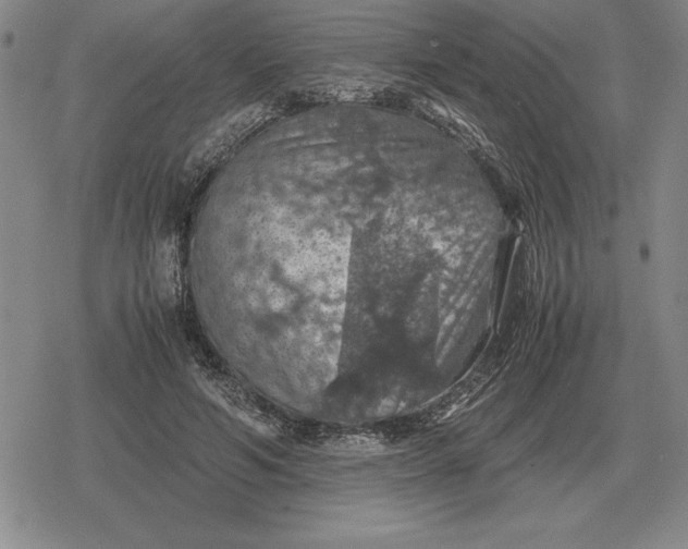 X0000079280594200612081755