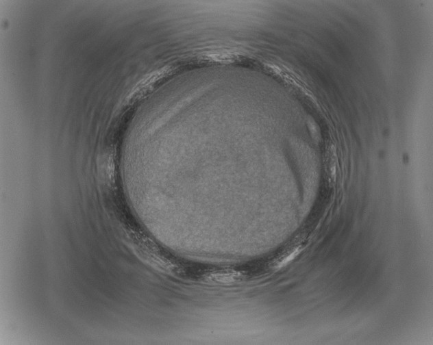 X0000079280595200612081755